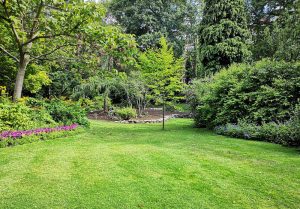 Optimiser l'expérience du jardin à Certilleux