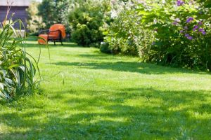 travaux jardin et paysage Certilleux